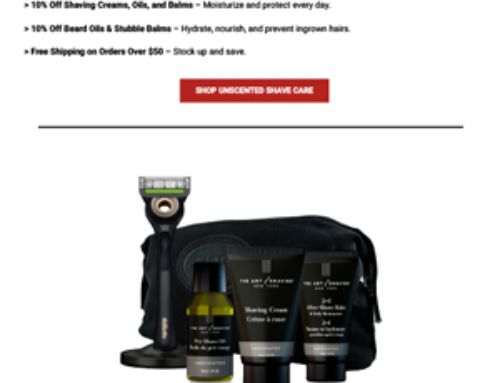 The Art of Shaving Email Blast 2